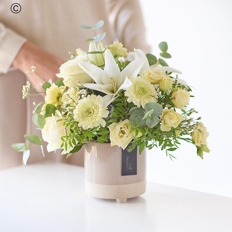 The Soothing Kindness